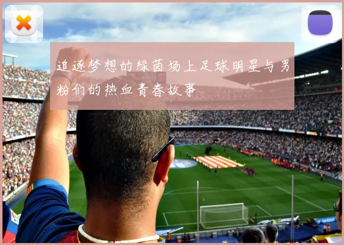 追逐梦想的绿茵场上足球明星与男粉们的热血青春故事