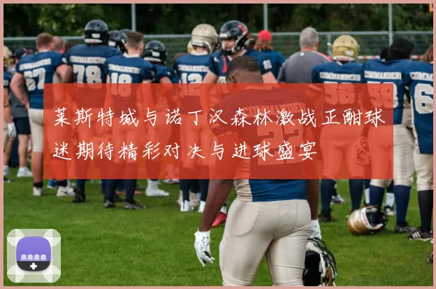 莱斯特城与诺丁汉森林激战正酣球迷期待精彩对决与进球盛宴